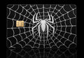 Spider Core